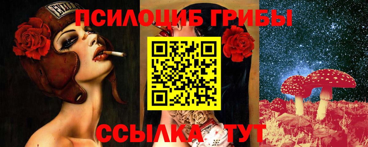 Тихвин  наркотики  Вход с VPN  Галлюциногенные грибы Psilocybe 