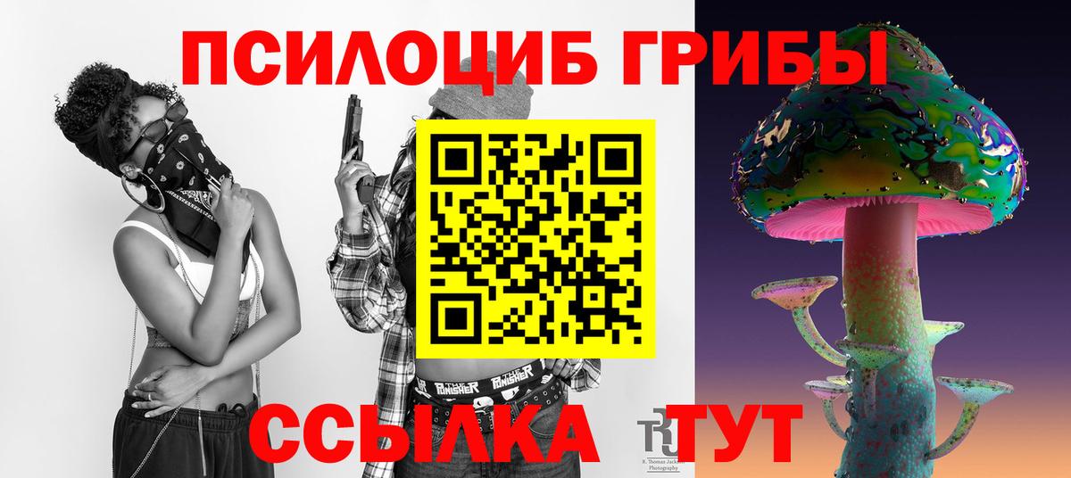 Галлюциногенные грибы MAGIC MUSHROOMS Тихвин